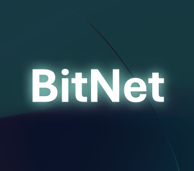 BitNet