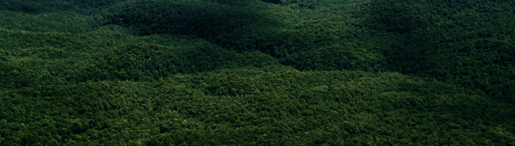 Satellite imagery of global forest cover mapped by Space Intelligence on Microsoft Foundry